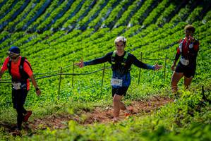 BIB: 
                            <button type="button" onclick="openModal(19162200)" class="btn btn-primary btn-sm float-right btn-popup" data-toggle="modal" data-target=".modal-high-quality">
                        <i class="fas fa-shopping-cart"></i> Add to Cart
                    </button>
                                            <button type="button" onclick="isThisMe(19162200, true)" class="btn btn-success btn-sm float-right btn-popup btn-isme hidden" data-toggle="tooltip" data-placement="bottom" title="นี่คือรูปของคุณใช่ไหม คลิกที่นี่เพื่อเอาเข้าอัลบั้ม">
                        <i class="fas fa-plus"></i> Add to album
                    </button>
                    <button type="button" onclick="isThisMe(19162200, false)" class="btn btn-warning btn-sm float-right btn-popup btn-isnotme hidden">
                        <i class="fas fa-ban"></i> Remove from album
                    </button>